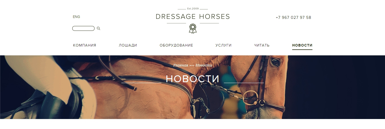 проект dressage horses